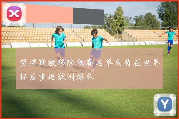 努涅斯被移除联赛名单或将在世界杯后重返欧洲球队