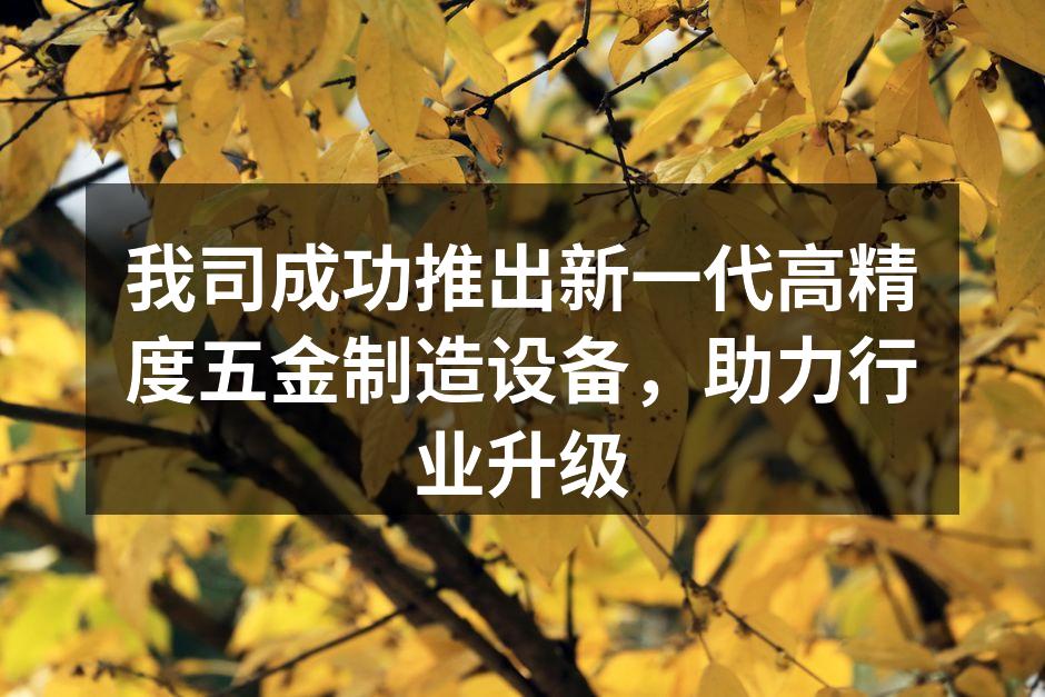 新一代高精度五金制造设备展示