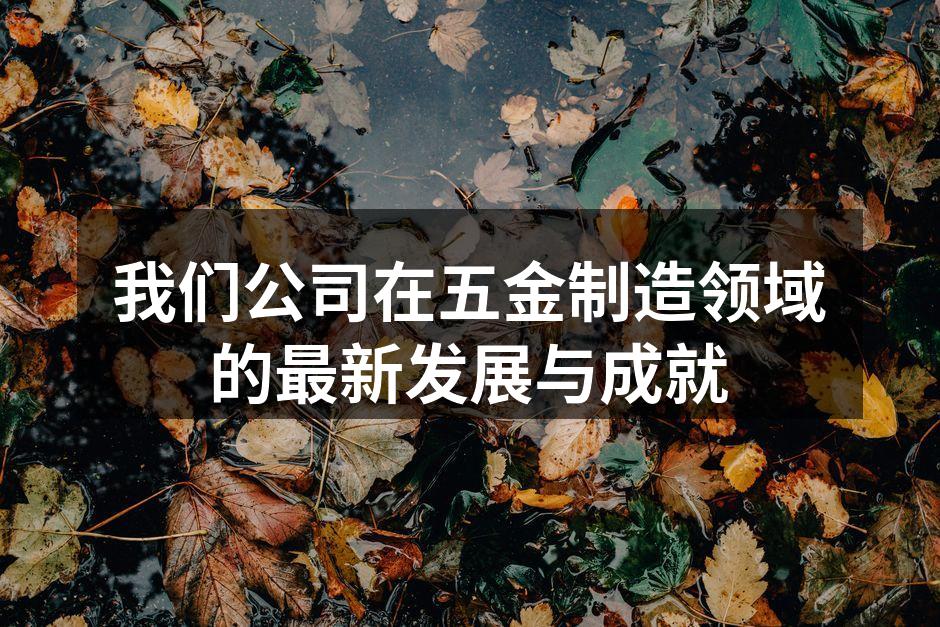 公司最新推出的智能锁具